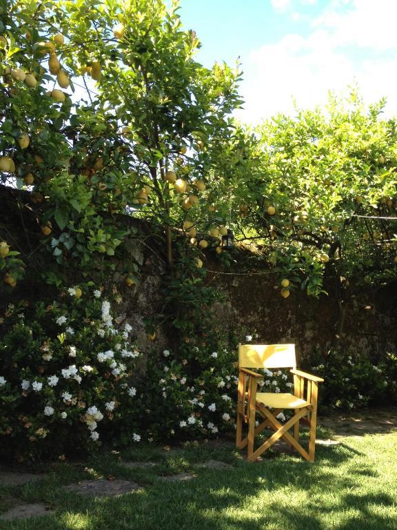 Готель Casa Do Pinheiro - Turismo De Habitacao Понте-де-Ліма Екстер'єр фото